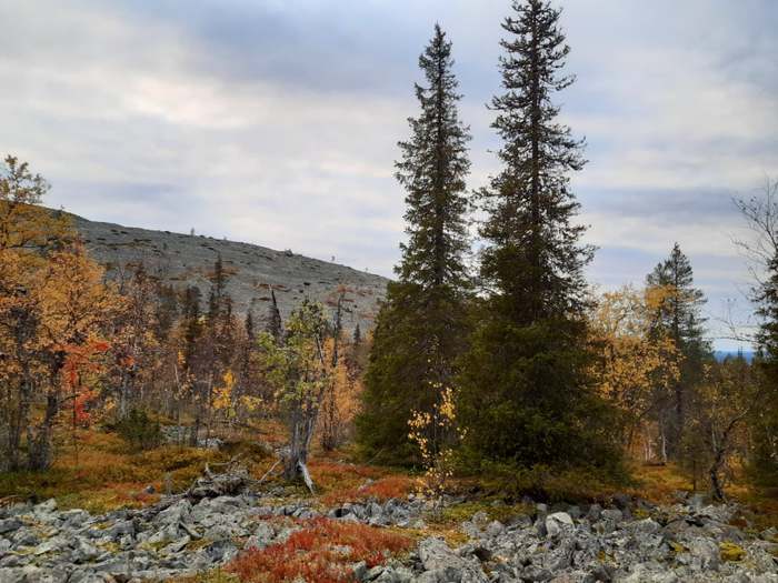 Syyskuu 2019 Onnensäde